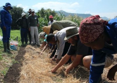 Farming Quest 2022 – Lesotho, 3 weeks